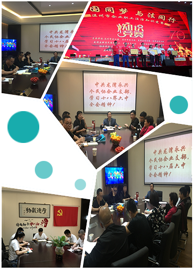 CHLG党支部会议