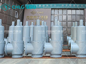 南宫NG28安全阀交付神华包头煤造烯烃升级示范项目 LIANGGU Valves Deliver Safety at Critical Project Milestones